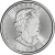 1 Ounce 2019 Platinum Maple Leaf Coin