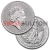 1 Ounce Platinum British Britannia Coin