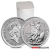 Tenth Ounce 2020 Platinum British Britannia Coin