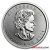 1 Ounce 2021 Platinum Maple Leaf Coin
