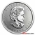 1 Ounce 2022 Platinum Maple Leaf Coin