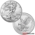 Monster Box, 1 Ounce 2022 Silver American Eagle Coin - 500 Coins