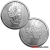 Tube of 25 x 1 Ounce 2023 Silver Maple Leaf Coin 