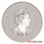 1/10 Ounce 2023 Platinum Kookaburra Coin