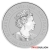 Moneda de Platino Canguro de 1 onza 2023