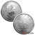 1 Ounce 2023 Platinum Maple Leaf Coin