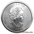 1 Ounce 2023 Platinum Maple Leaf Coin
