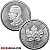 1 Ounce 2024 Platinum Maple Leaf Coin