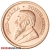 2025 1/10 Ounce Krugerrand Gold Coin