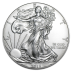 1 oz American Eagle - Silver - 2015