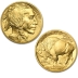 Monster Box - 1 Ounce 2019 Gold American Buffalo
