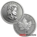1 Ounce 2020 Platinum Maple Leaf Coin