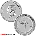 1 Ounce 2024 Platinum Kangaroo Coin