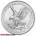 Monster Box, 1 Ounce 2025 Silver American Eagle Coin - 500 Coins