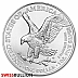 Tube of 20 x 1 Ounce 2026 Silver American Eagle Coin